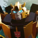 Bumblebee - TF Bumblebee - TF